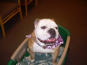 Rosie the Queen