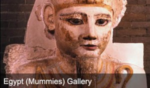 exhibits_egyptmummies