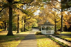 Dockside_Love Your Park Week_Fairmount Park_Gazebo