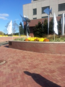 Dockside Fall landscaping 2015-2