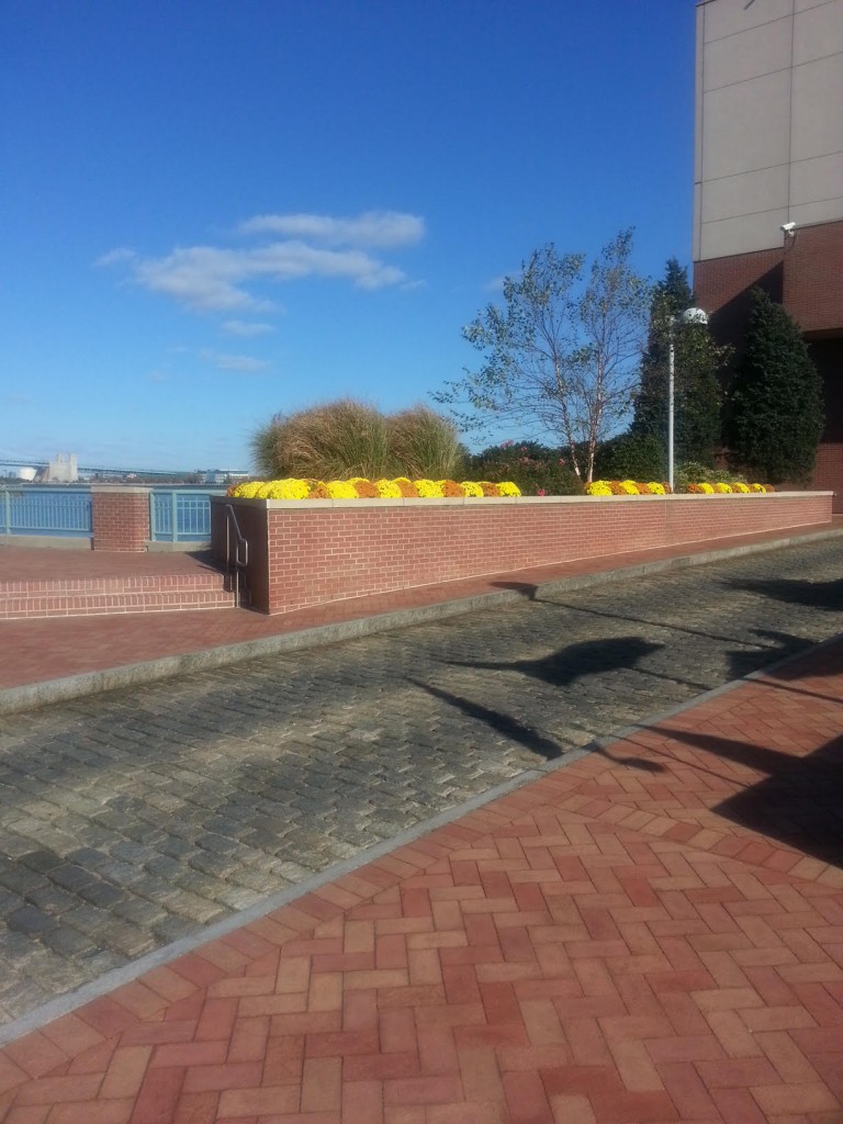 Dockside Fall landscaping 2015-3