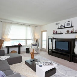 Dockside Condo Living Room Interior. Modern design with white walls and black & gray finishes.