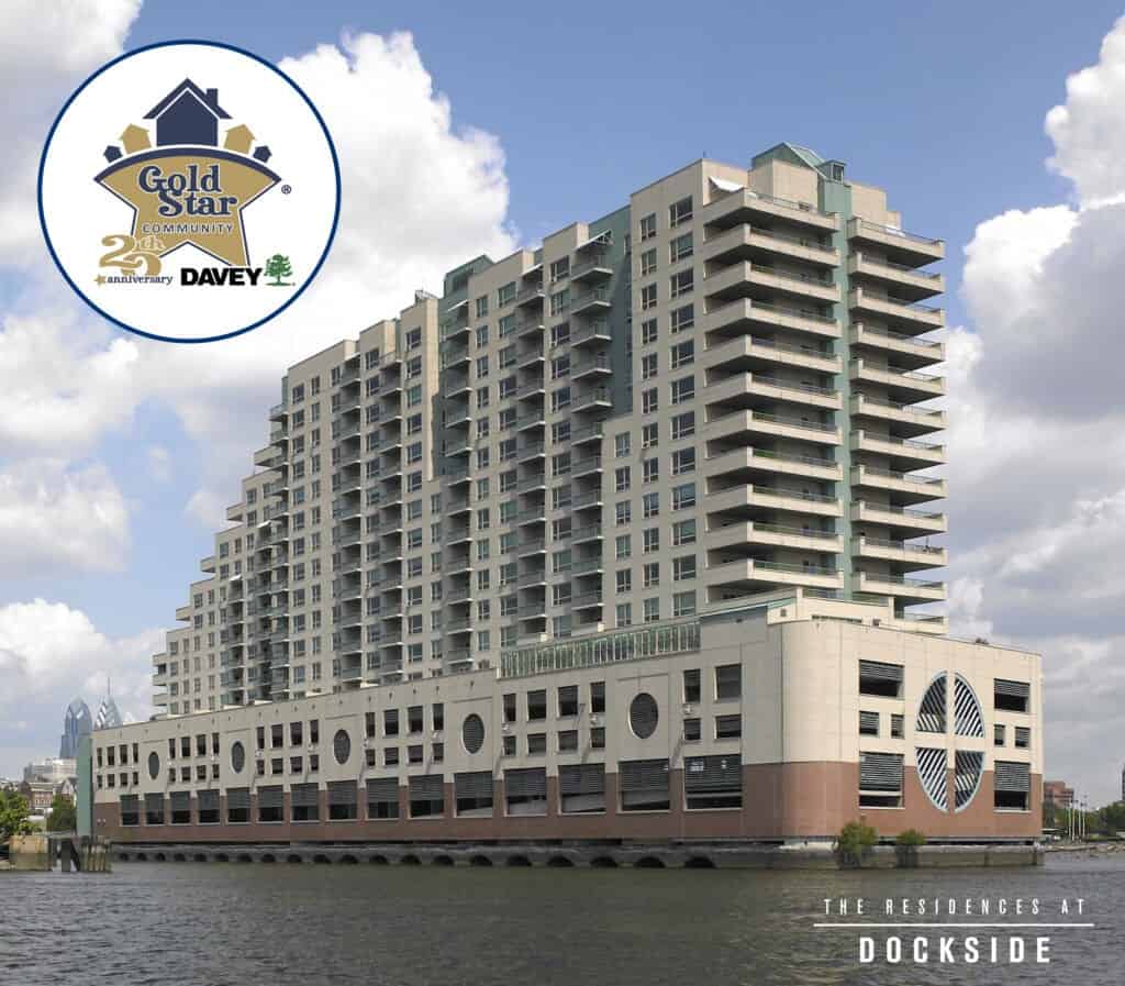 dockside condos with gold star logo