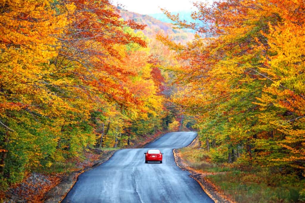 Car on a road trip