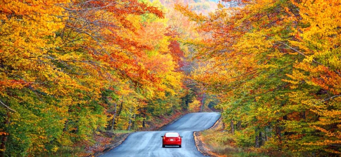 Car on a road trip